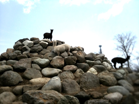 f:id:eight-design:20100502211848j:image