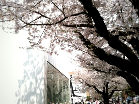 f:id:eight-design:20100504221228j:image