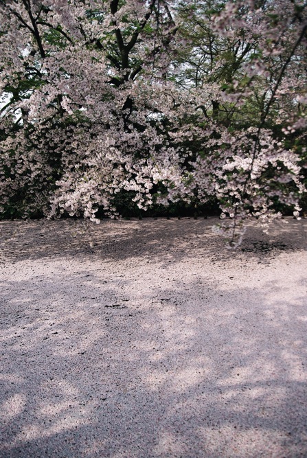 f:id:eight-design:20100505151254j:image f:id:eight-design:20100505151254j:image