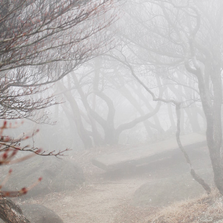 f:id:eight-design:20141130195415j:image