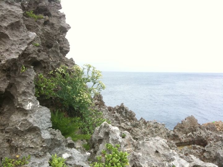 f:id:eightdesigner:20110503170757j:image f:id:eightdesigner:20110503170757j:image