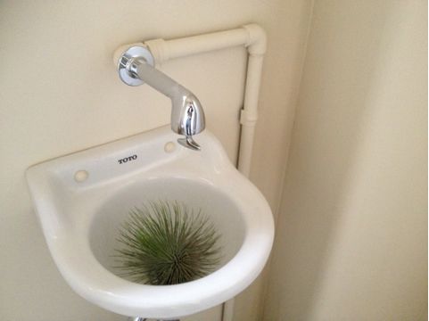 20130430225514