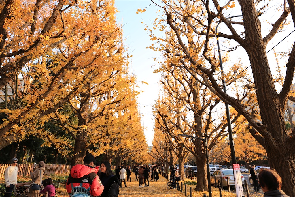 f:id:eighttt:20191229230619j:image