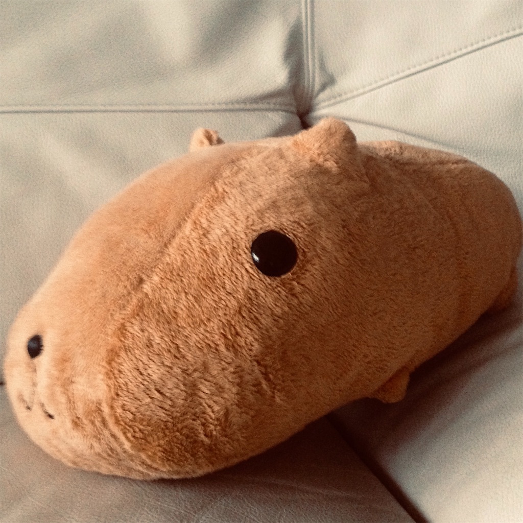カピバラさんのぬいぐるみを洗う 18ヶ月ぶり3回目 サンソスウ