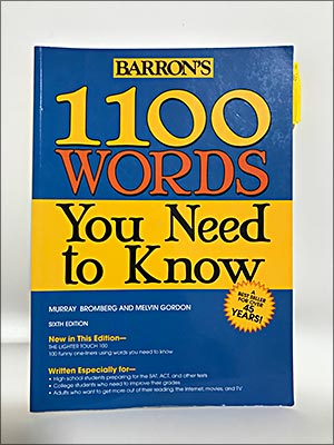 1100 WORDS You Need to Know