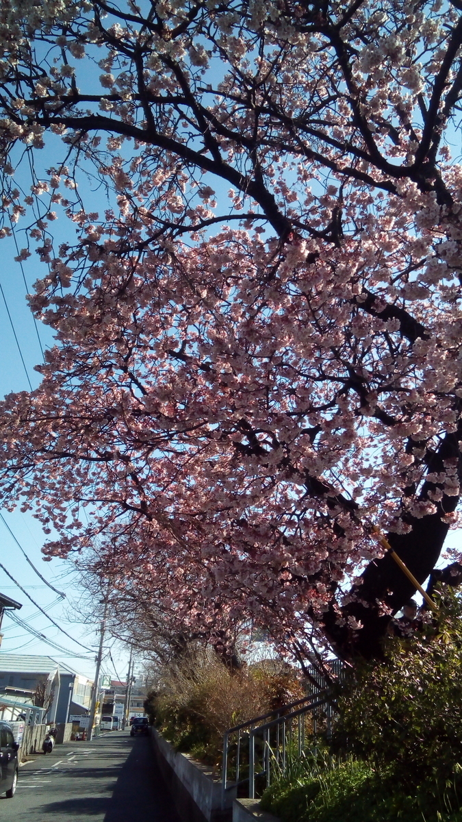 f:id:eigojuku-grit:20200213000837j:plain f:id:eigojuku-grit:20200213000837j:plain
