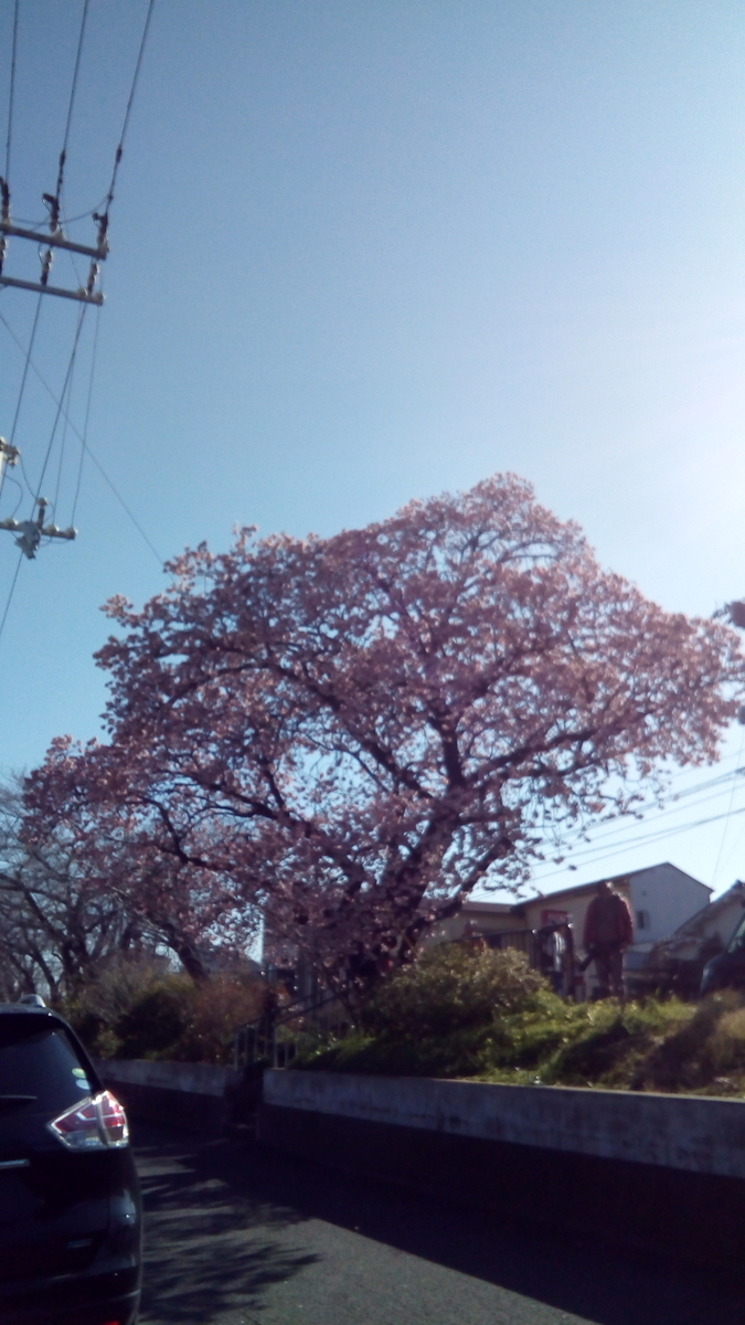 f:id:eigojuku-grit:20200213000846j:plain f:id:eigojuku-grit:20200213000846j:plain