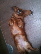 f:id:eigon:20110209090222j:image