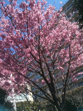 f:id:eigon:20110406095256j:image f:id:eigon:20110406095256j:image