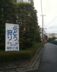 f:id:eigon:20110825095701j:image