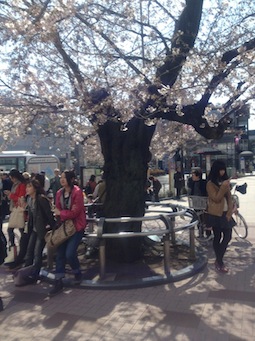 f:id:eigon:20120407155344j:image