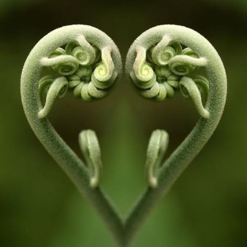 f:id:eigon:20120412085440j:image