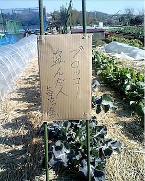 f:id:eigon:20121206084848j:image