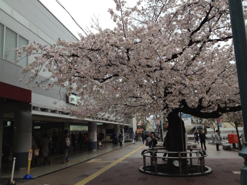 f:id:eigon:20130328090155j:image f:id:eigon:20130328090155j:image