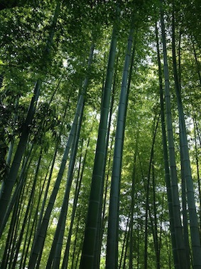 f:id:eigon:20130606013951j:image f:id:eigon:20130606013951j:image