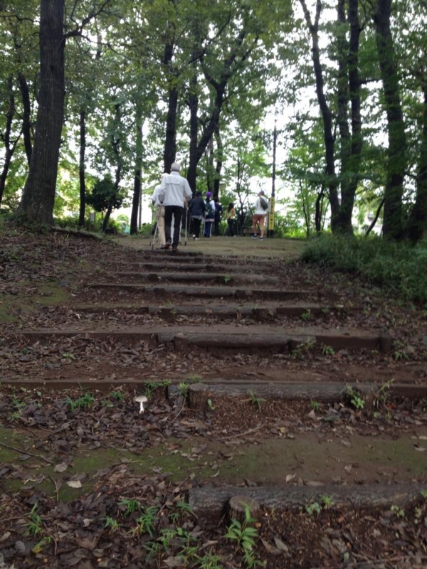 f:id:eigon:20131007085121j:image:w360