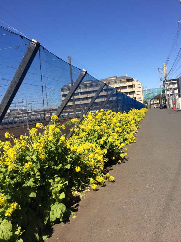 f:id:eigon:20140311100133j:image:w360