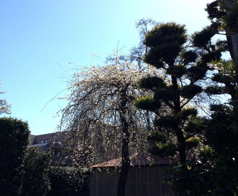 f:id:eigon:20140311100143j:image:w360