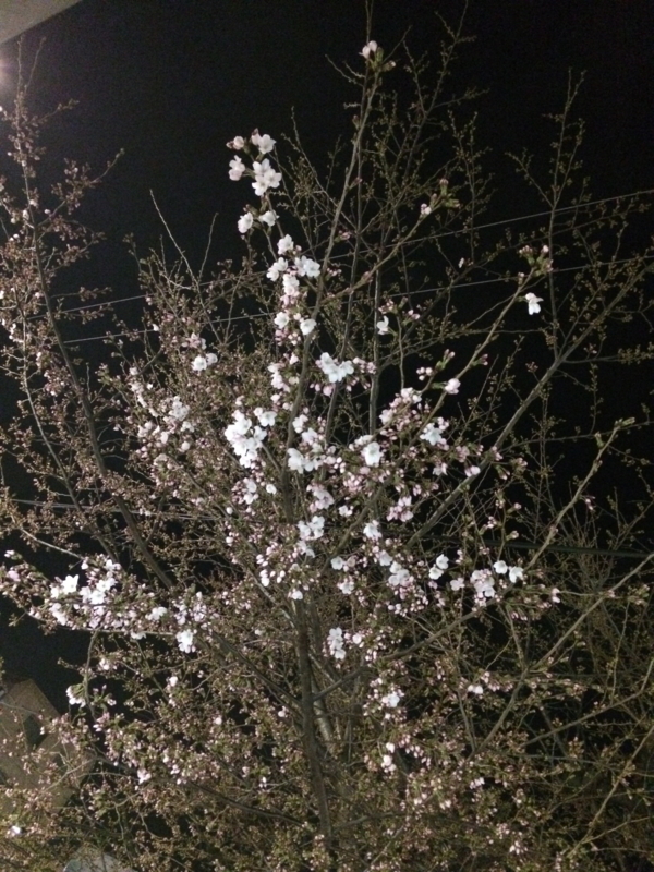 f:id:eigon:20140326213913j:image:w360
