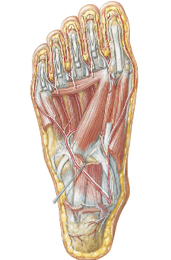 f:id:eigon:20140328085442j:image:w360