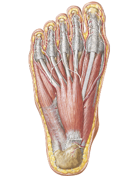 f:id:eigon:20140328085443j:image:w360