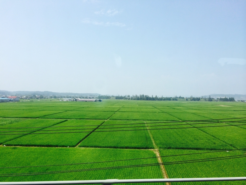 f:id:eigon:20140731064716j:image:w360