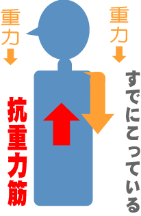 f:id:eigon:20141104085045g:image