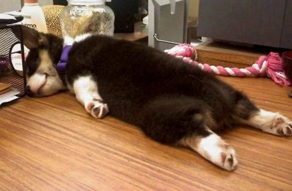 f:id:eigon:20141119074502j:image:w360