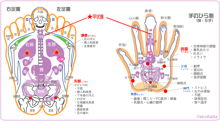 f:id:eigon:20150207075453g:image f:id:eigon:20150207075453g:image