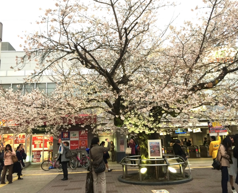 f:id:eigon:20150329172403j:image