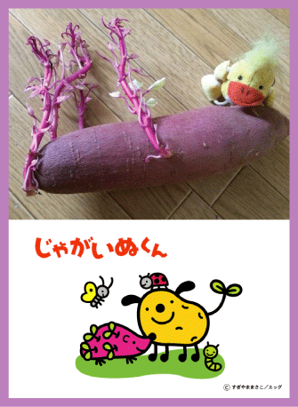 f:id:eigon:20150811073956g:image:w360 f:id:eigon:20150811073956g:image:w360