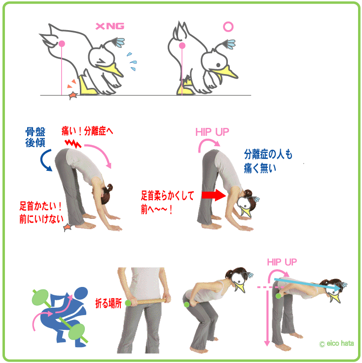 足首が硬いと分離症になる Eigonだって泳ぎたい あひる解剖学
