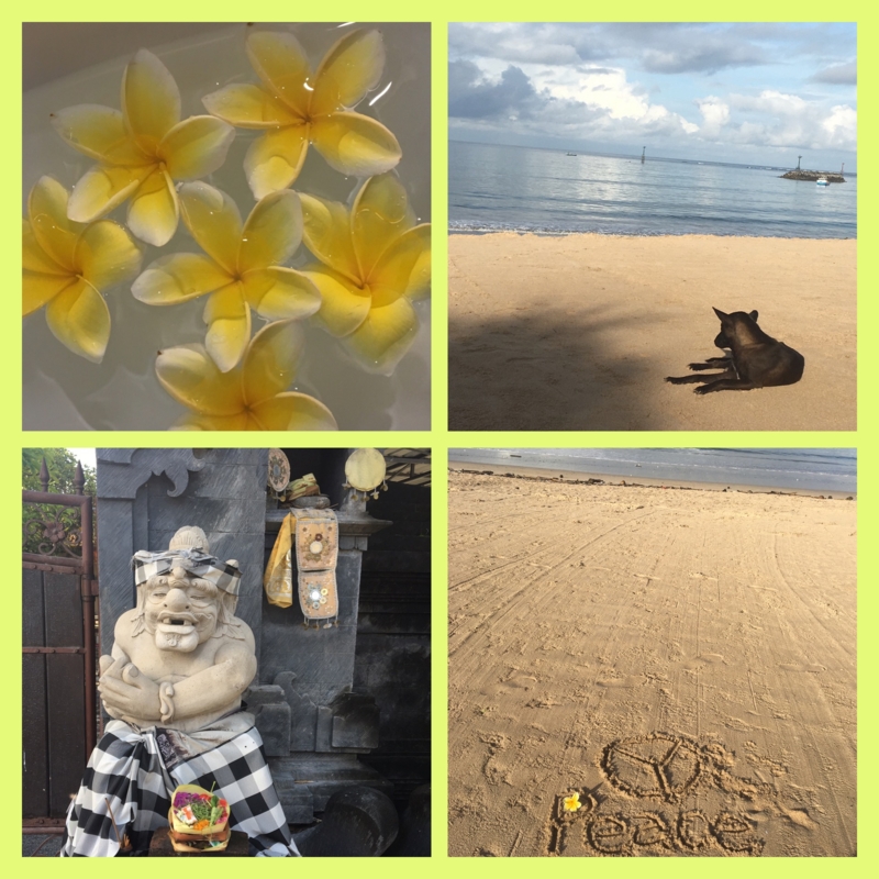 f:id:eigon:20161204090753j:image