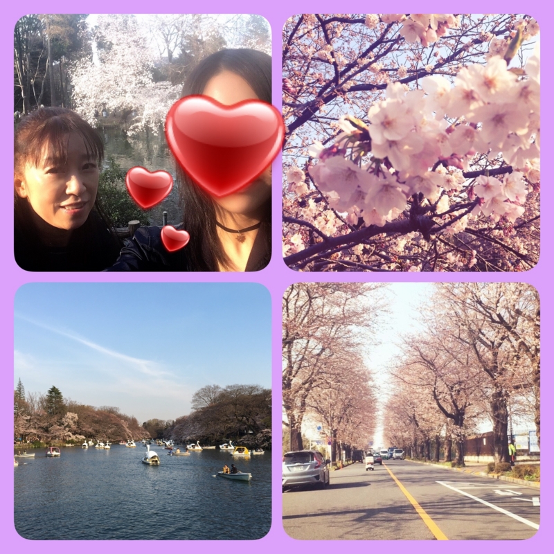 f:id:eigon:20170405100631j:image f:id:eigon:20170405100631j:image