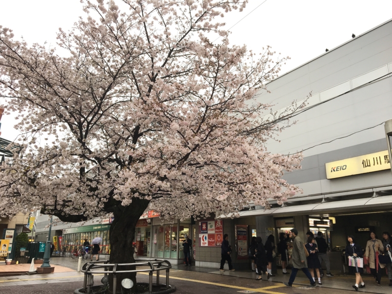 f:id:eigon:20170408080337j:image