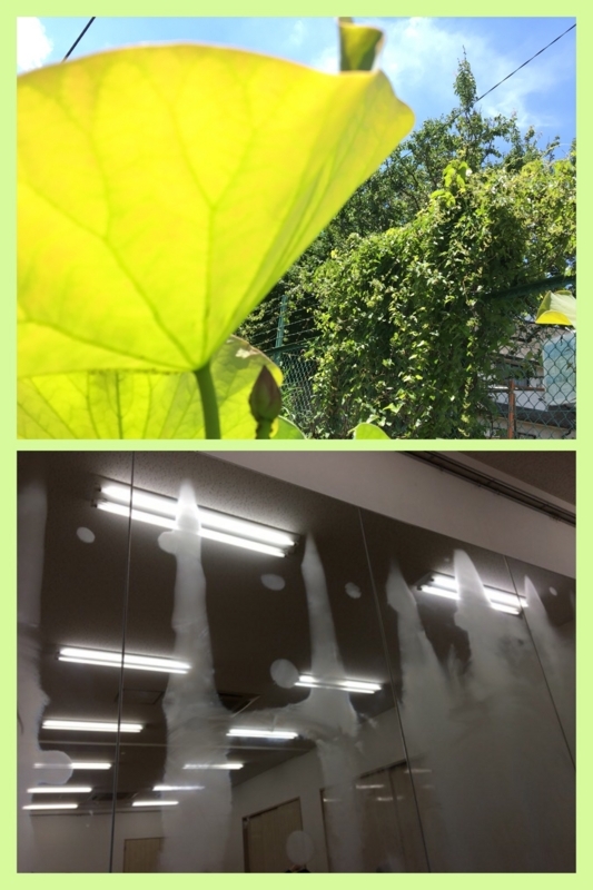f:id:eigon:20180619180831j:image f:id:eigon:20180619180831j:image