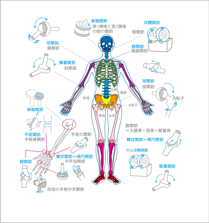 f:id:eigon:20190131214811j:plain