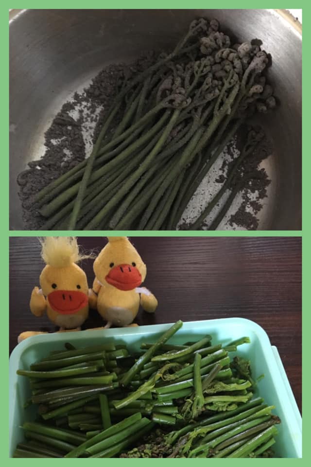 f:id:eigon:20190525083616j:plain f:id:eigon:20190525083616j:plain