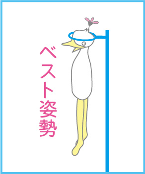 f:id:eigon:20190924083121j:plain f:id:eigon:20190924083121j:plain