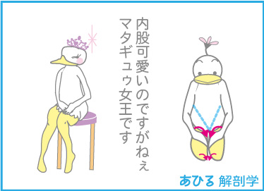 f:id:eigon:20200225234414j:plain f:id:eigon:20200225234414j:plain