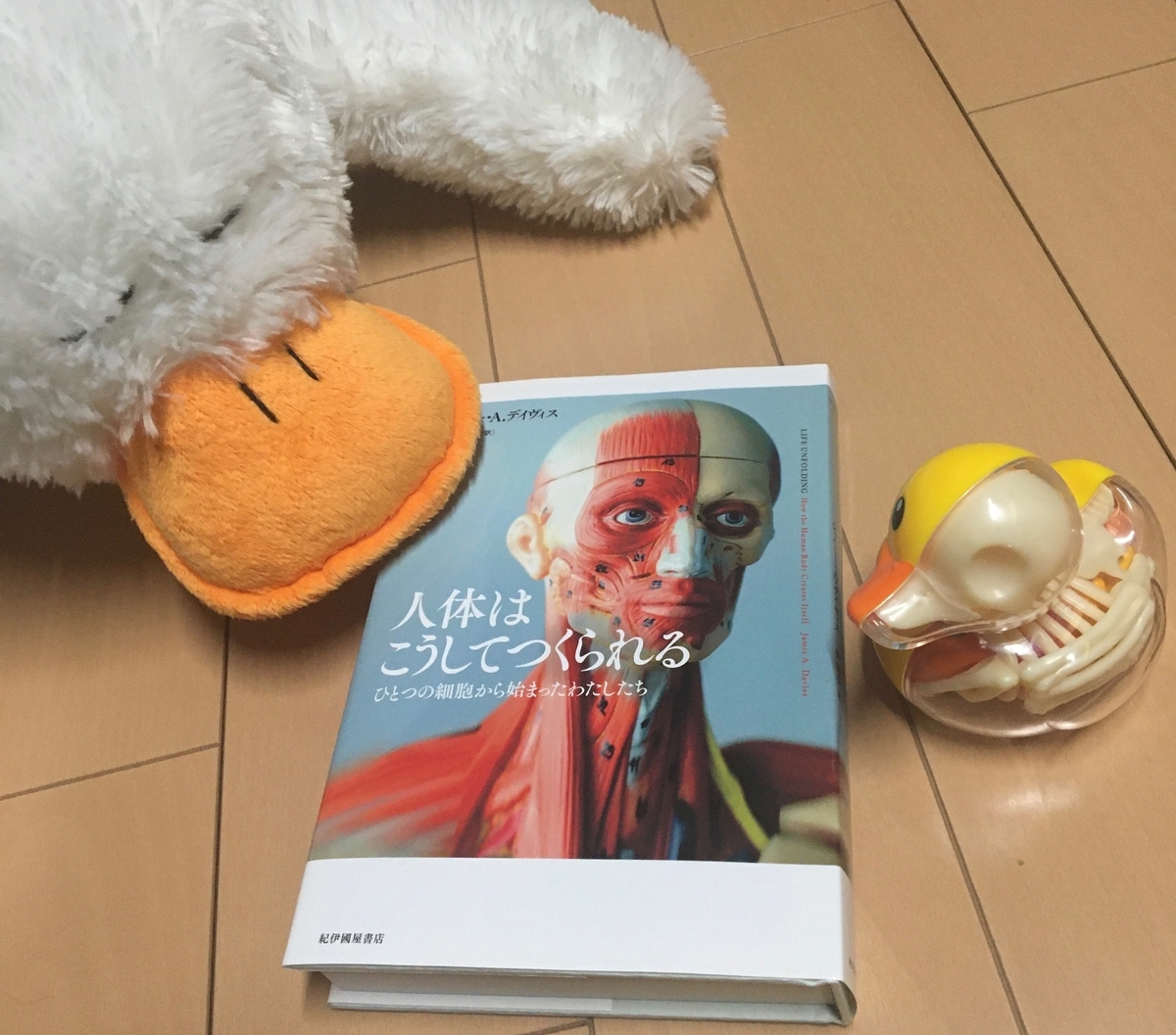 f:id:eigon:20200326175328j:plain