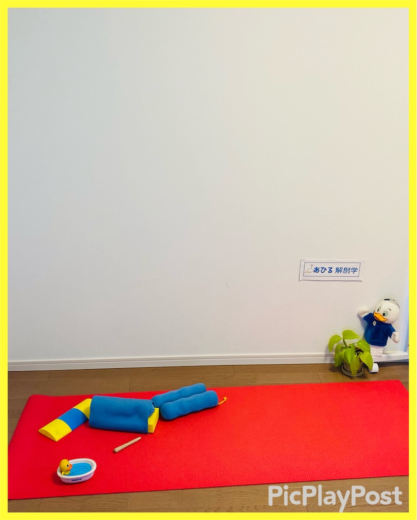 f:id:eigon:20210116104449j:image