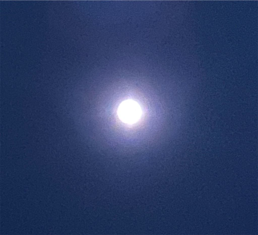 f:id:eigon:20210130124117j:image