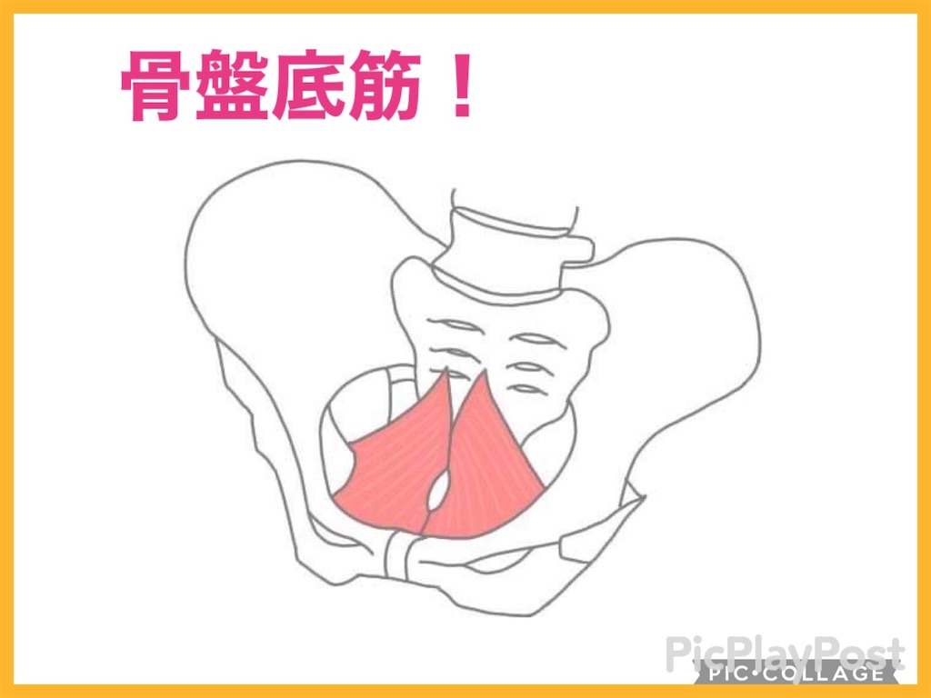f:id:eigon:20210527091312j:image f:id:eigon:20210527091312j:image