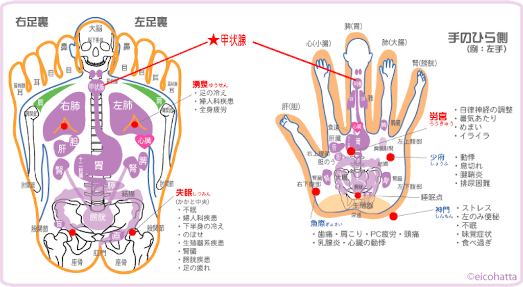 f:id:eigon:20210812101604g:image