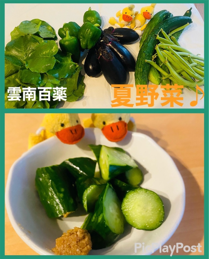 f:id:eigon:20220628091501j:image f:id:eigon:20220628091501j:image