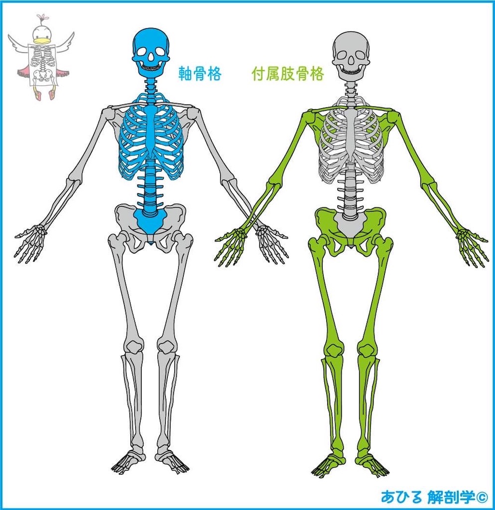 f:id:eigon:20221106114515j:image f:id:eigon:20221106114515j:image