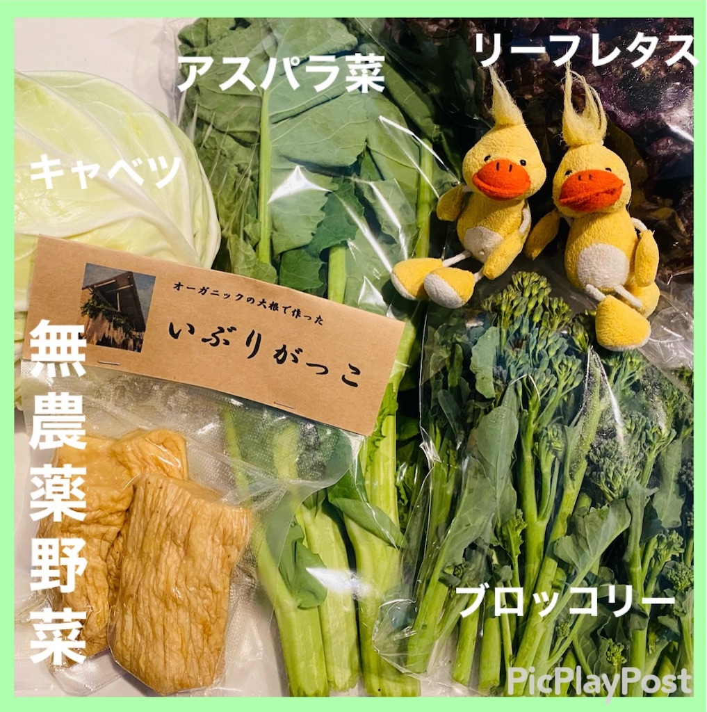 f:id:eigon:20230307132917j:image