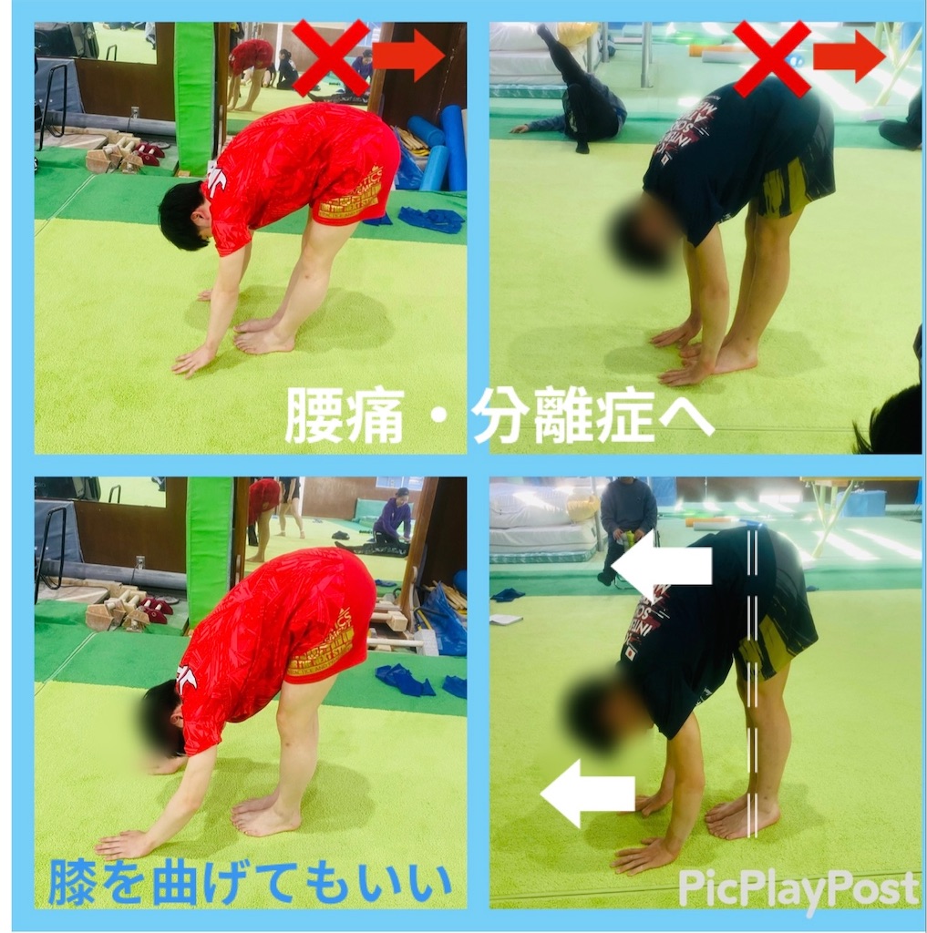 f:id:eigon:20230527161850j:image f:id:eigon:20230527161850j:image