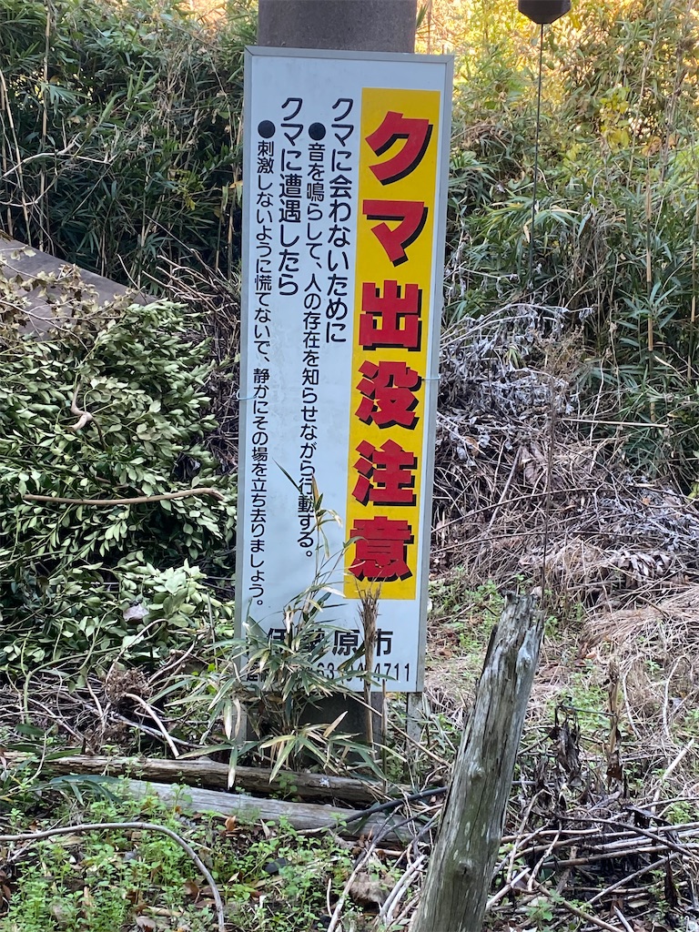 f:id:eigon:20231211114803j:image f:id:eigon:20231211114803j:image